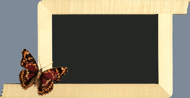 mirroir_papillon.gif