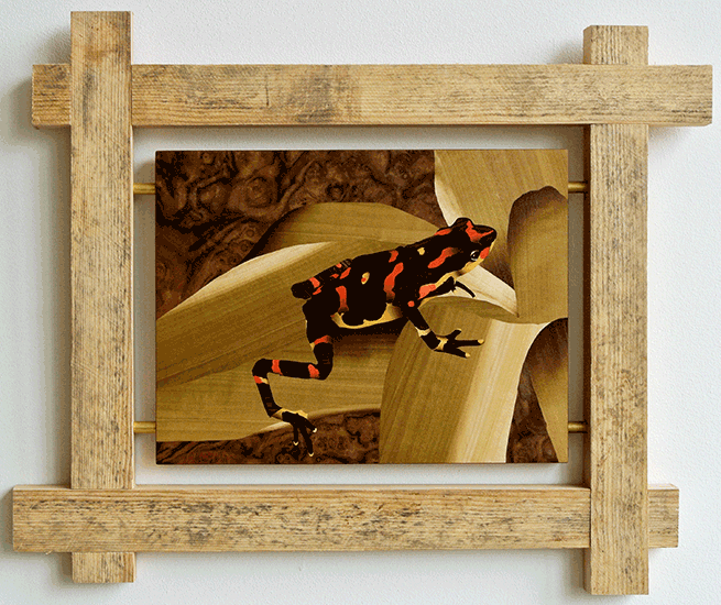 image.gif